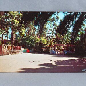 Vintage Postcard - Children's Zoo Entrance San Diego Zoo - Unbranded